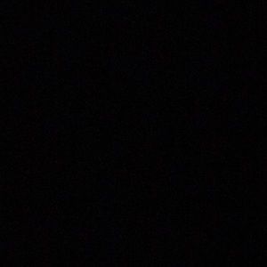 Meet your Posher, Trevor